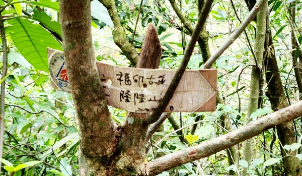 抹茶山，聖母登山步道，隆隆山，福卯古道，水柳腳登山步道，觀音台步道，北勢溪自行車道2112013