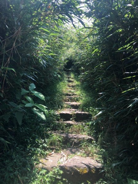 大屯主峰南峰20190727637354