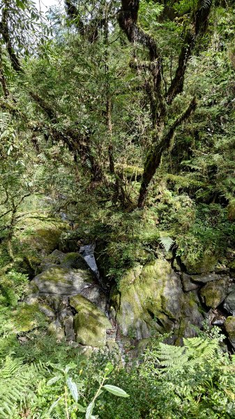 棲松縱走未竟2918407