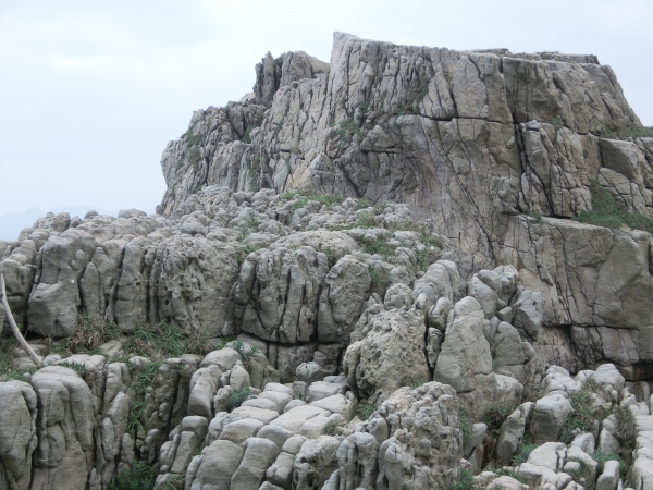 龍洞灣岬步道．龍洞攀岩場92456