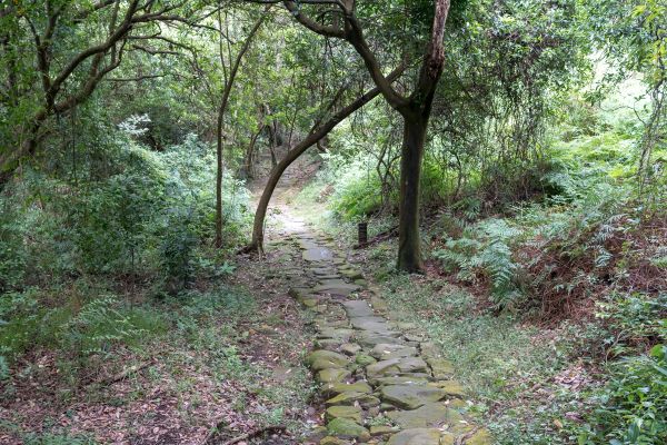 魚路古道北段406020