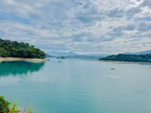 向山走頭社賞花海 鐵馬快閃水社碼頭3048911