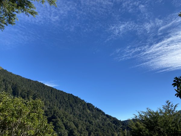 能高安東軍縱走1952278