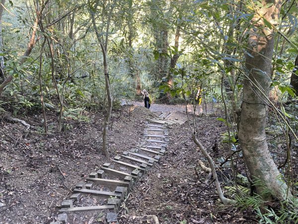 2025微笑山線大縱走尋寶集章任務-Ep.12【五分山系】望古瀑布段2908866