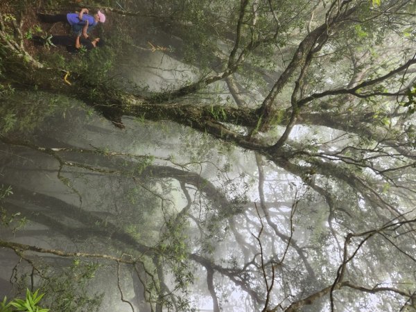 【中級山縱走】魯壁山，東穗山，大島田山，宇老觀景台2771644