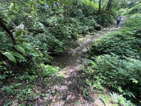 [淡蘭古道] 2025_0802 南路第四段2850938