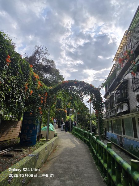 2026-03-08微笑山線：【大棟山系】百年大榕樹段3011667