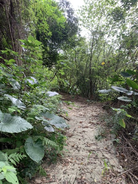 20251024台南東西崙山2925622