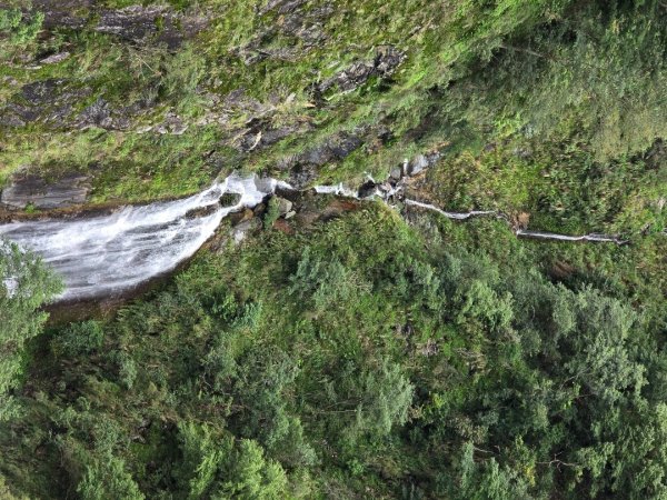 觀高山屋／龍貓公車／八通關山／八通關山西峰2927377