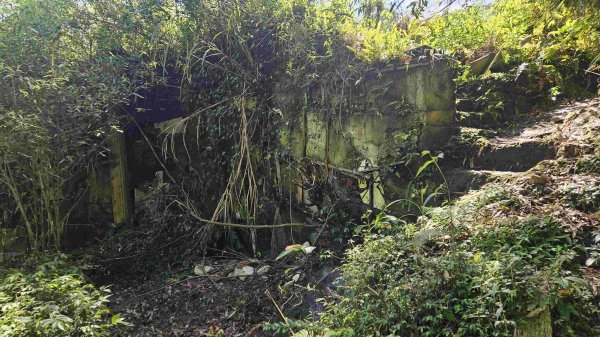 20250422豐田派出所-磨石坑古道-磨石坑山-圳沽古道2767908