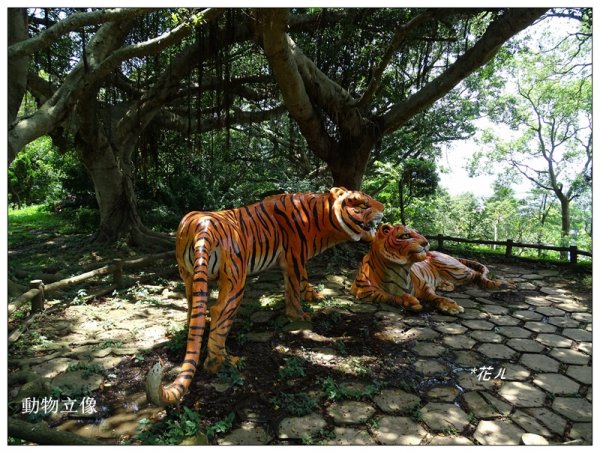 大甲/鐵砧山(小百岳)631035