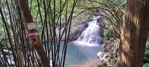 鹿崛坪山.磺嘴山.富士坪山 111.09.09(五)2143467