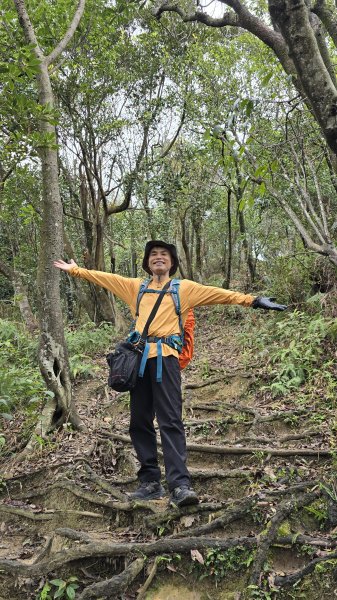 2025樂活夜櫻季搶先看，內湖樂活公園夜櫻季明天熱鬧登場，沿內溝溪3公里近距離欣賞寒櫻、昭和櫻、吉野2695700