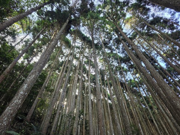 新竹五峰｜民都有山×民都有山北峰3117791