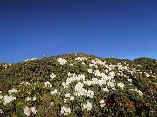 20180827-28_雪山主東396306