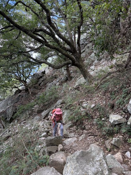 東卯山 22刷 202607253090903