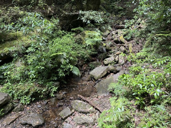 2025_0601 北插天山2802341