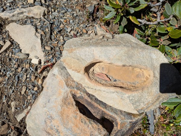 20250927雪山主東峰2916241