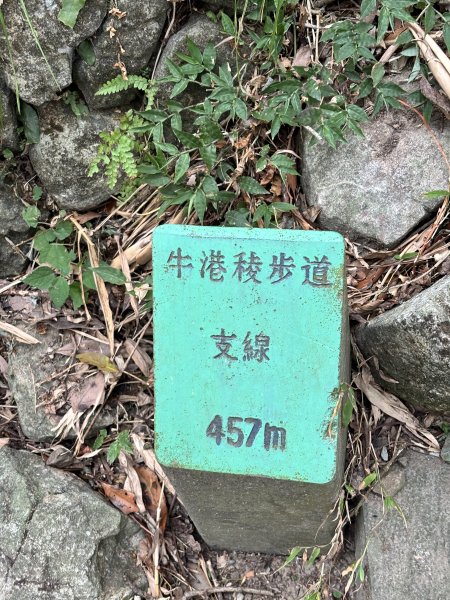 2025-09-06 牛港稜山步道2883860