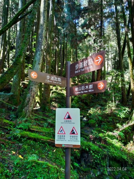 檜山巨木群步道1662889