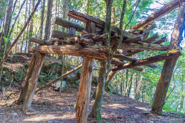 谷關七雄_八仙山2679625