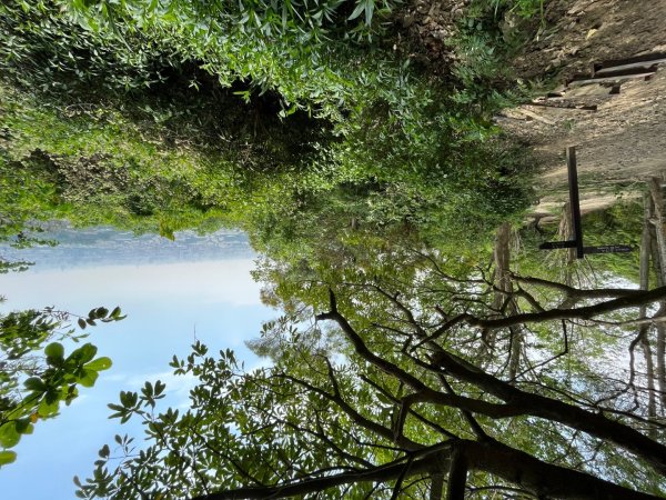 20230503__三汀山+阿罩霧山（台中小百岳）2762356