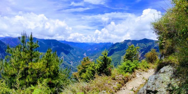 攀上台灣之巔，賞高山花海及島嶼天光1011780