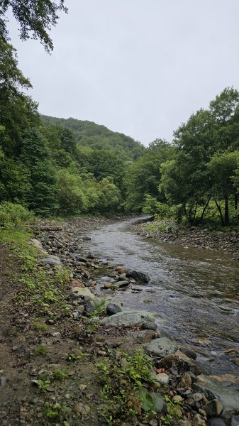 240814-白神山地世界自然遺產地域。美美兔不能錯過的日本東北健行路線。2603896