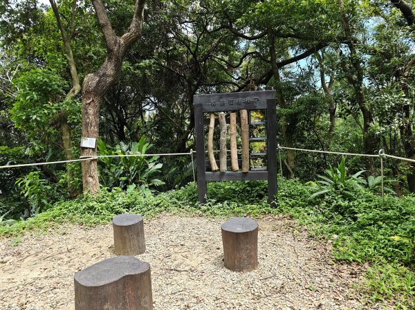 [微笑山線_第三段] 2026_0725 新北桃園登山步道_大湖之森步道3101686