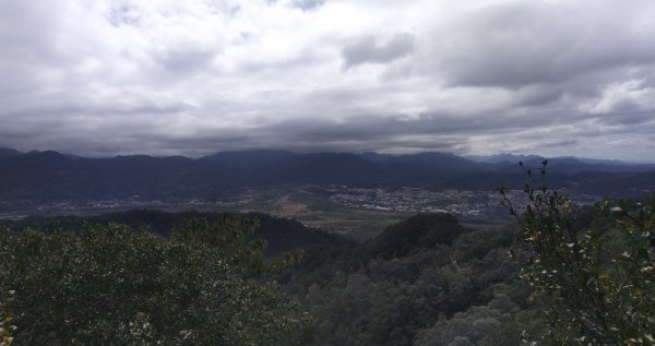 20210213_飛鳳&觀日坪古道1268558