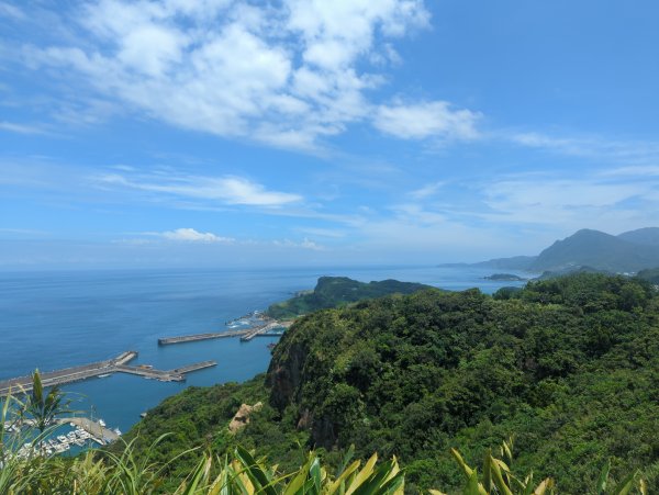 2026.08.29－龍崗步道&槓子寮砲台3114357