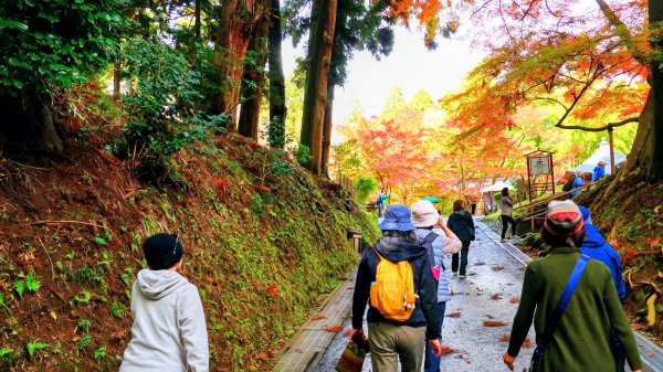 岩手縣中尊寺2930146
