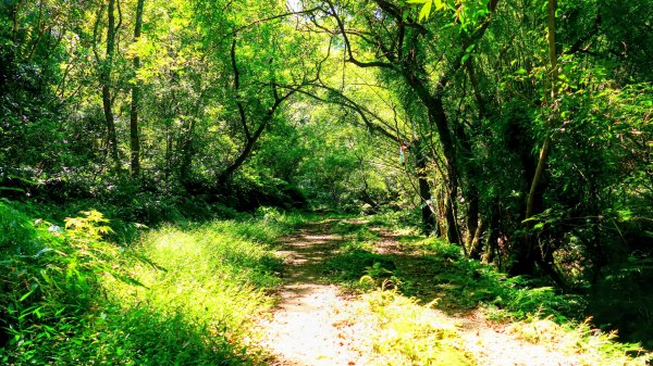 崩山坑越嶺內盤山2913773