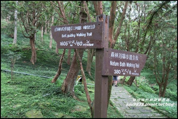 東眼山自導式步道217308