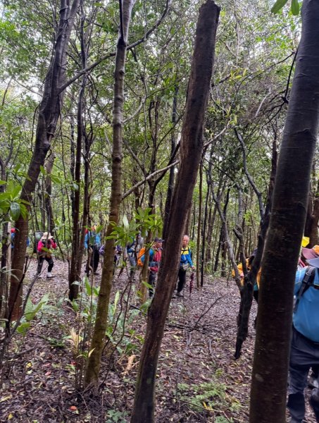 台北縱走第四段訪雙溪山 梅花山與西峰南峰西南峰 碧山3012835