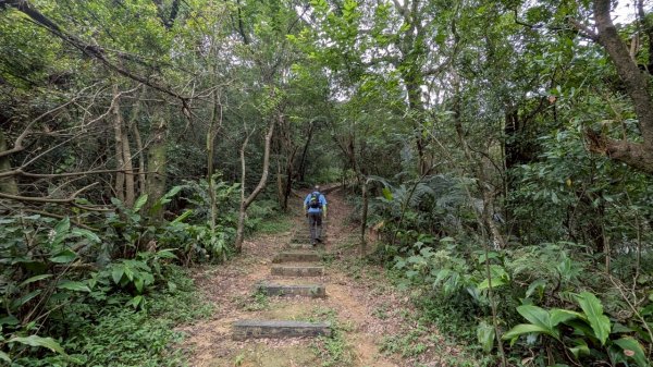 114.06.07過港山-四腳亭砲台-深澳坑砲台山之旅2806568
