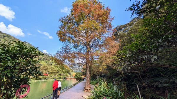 望龍埤,鎮頭山,蜊埤湖2391868