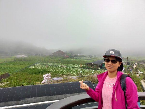 2019竹子湖海芋季 來一場幸福的相芋555546