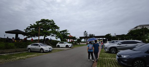 2026/06/28 新豐紅樹林生態保護區3079798