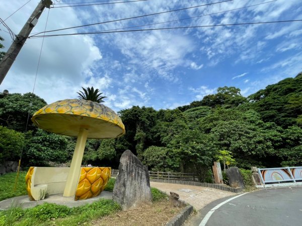 搭捷運去爬山。樹梅坑登山步道｜妙覺寺｜吳仔厝土地公廟｜嗄嘮別山｜小坪頂山｜清天宮｜大屯國小｜永春寮環型步道｜復興公園｜捷運新北投站