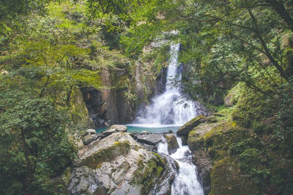 20191004~06-[新竹] 500塊上的大霸尖山1817051