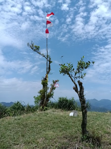 平溪區淡蘭山徑-平湖西步道+內平林山+東步道O型2769905