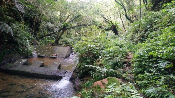 淡蘭古道南路（湖底嶺、四堵古道、溪畔古道）1433991