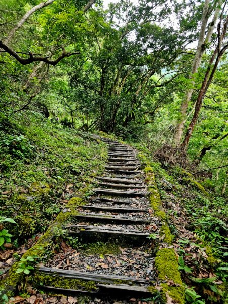 瓦拉米步道(登山口至佳心段)-(花蓮)臺灣百大必訪步道2789416
