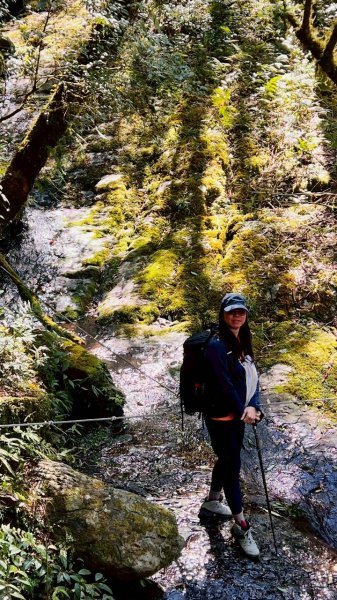 🌈3/14（六）赫威神木群+赫威山✨FB：熊熊趴爬走🌈3015382