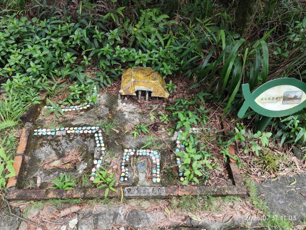 大湖公園→大溝溪生態治水園區→圓覺寺步道→圓覺瀑布→圓覺寺→鯉魚山步道【臺北大縱走 4、臺北健走趣】2849156