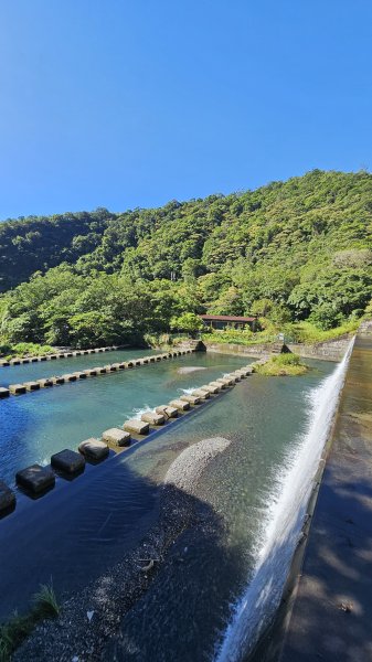 【我的第一個教師節🤣🤣】解鎖第51座小百岳#083三角崙山（抹茶山、聖母登山步道）2900584