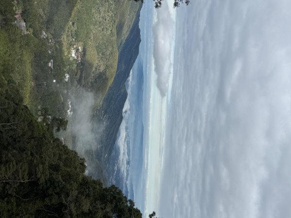 1150301溪頭天文台步道3008363