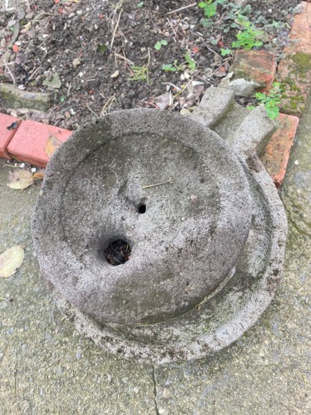 桃園大溪-花彩節🌼李騰芳古厝-月眉落雨松2934830