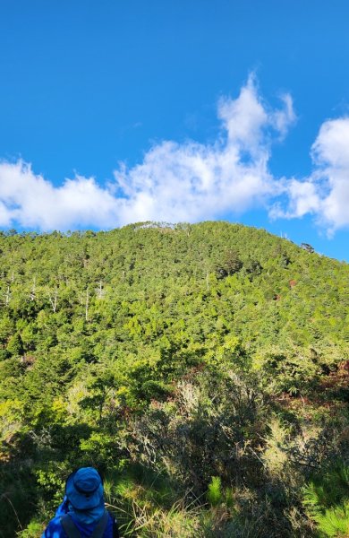 【中級山縱走】羅馬縱走，走進神木的夢幻童話森林世界2943179